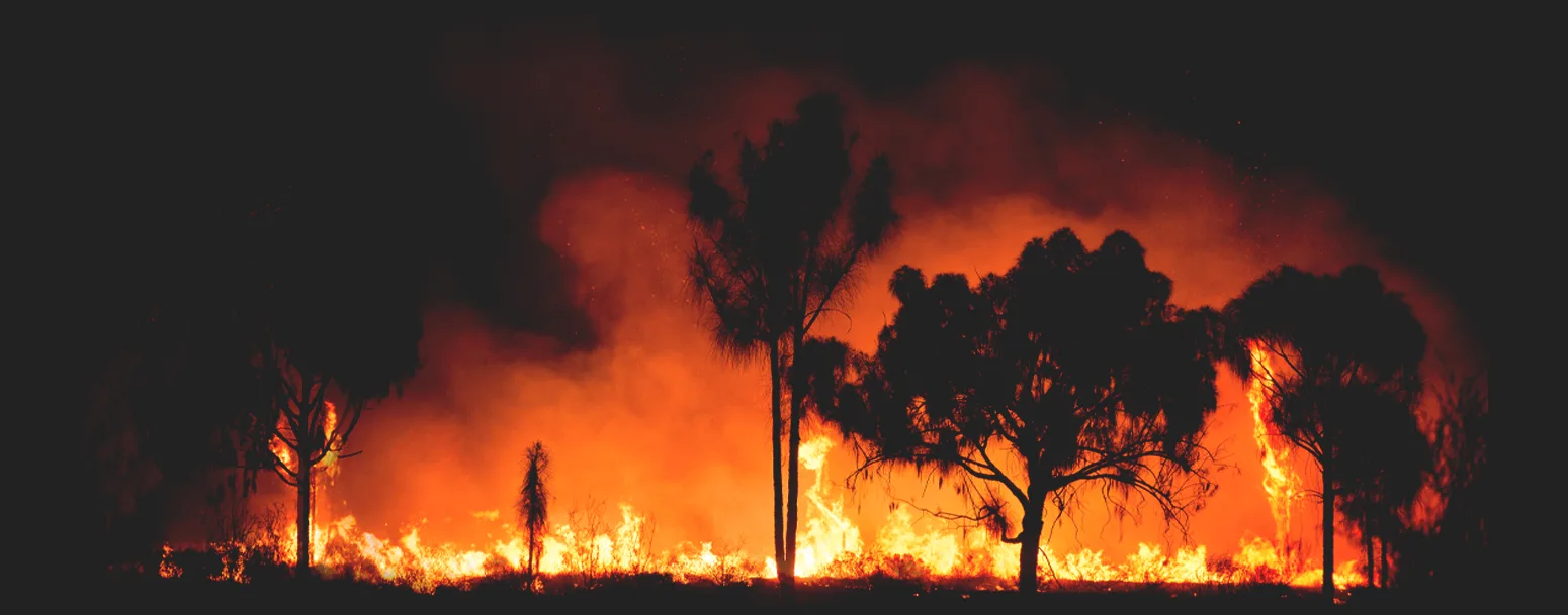 Safeguard Your Home from Bushfires