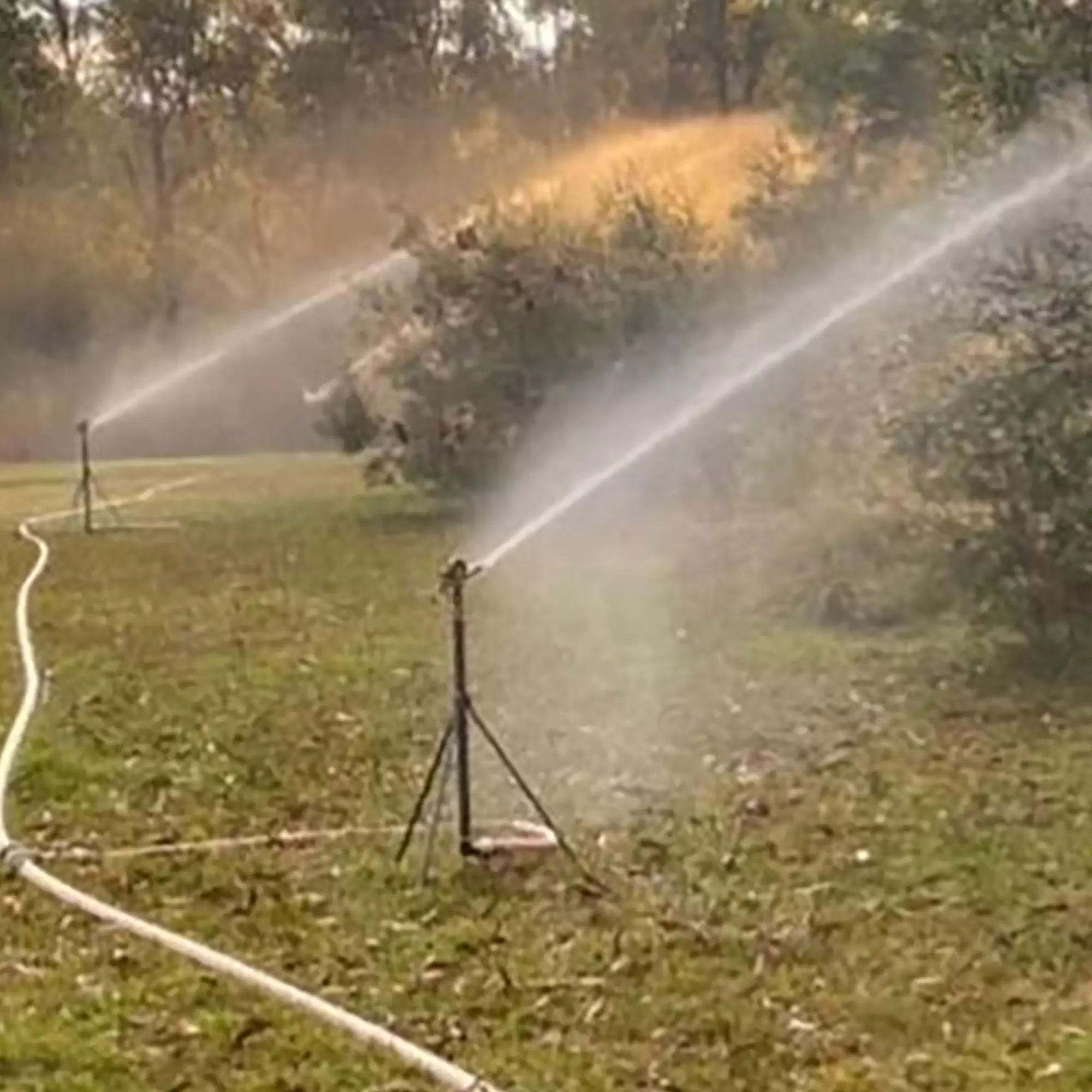 How Sydney Bushfire Sprinklers Saved a Property in Gross Wold